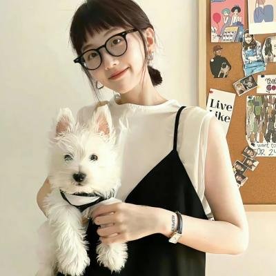 汪洋大盗